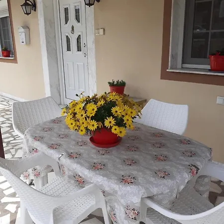 Apartment Amisiana House