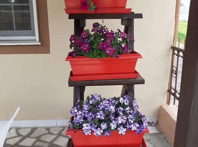 شقة Amisiana House