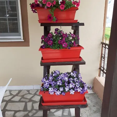 Апартаменты Amisiana House